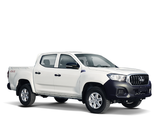 MAXUS T60